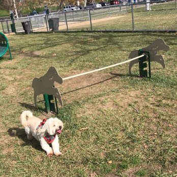 Rohr Dog Park - 1.9.20 Tunnel and Jumping Obstacles - Dog Parks Near Me - Bonita, California Rohr Dog Park - 1.9.20 Tunnel and Jumping Obstacles - Dog Parks Near Me - Bonita, California