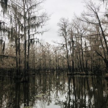 Captain Ron's Swamp Tours - Boat Tours Near Me Captain Ron's Swamp Tours - Boat Tours Near Me