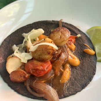 Holbox - Scallop taco - Latin American Near Me - Los Angeles, California Holbox - Scallop taco - Latin American Near Me - Los Angeles, California