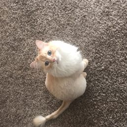 Mugatu