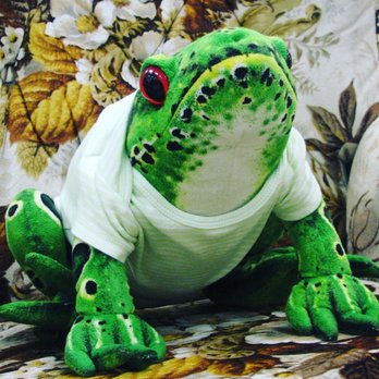 Los Cabos - a stuffed frog wearing a t - shirt - Mexican Near Me - Amelia, Ohio