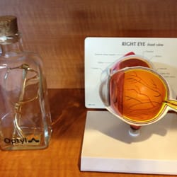 Eyecare Plus Scottsdale - Cool stuff on the shelf in the waiting area