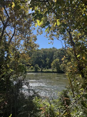 Zillicoah Beer Co. by null