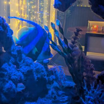 SeaGrass - Fish tank by the entrance. - Seafood Near Me - Ocean Grove, New Jersey