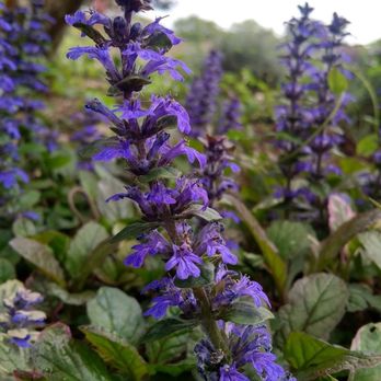 St Stephen's Green - Nature - Parks Near Me - Dublin, D