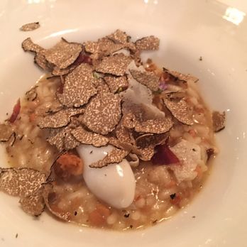 Enoteca Paco Pérez - Creamy rice with mushrooms and cuttlefish - Signature Cuisine Near Me - Barcelona, B Enoteca Paco Pérez - Creamy rice with mushrooms and cuttlefish - Signature Cuisine Near Me - Barcelona, B