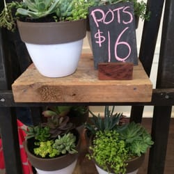 Pop Market