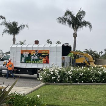 FR Tree Service - The equipment was chopping up the trees - Tree Services Near Me - Fontana, California FR Tree Service - The equipment was chopping up the trees - Tree Services Near Me - Fontana, California