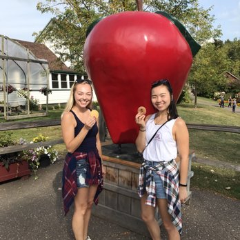 Pine Tree Apple Orchard - Bakeries Near Me - White Bear Lake, Minnesota Pine Tree Apple Orchard - Bakeries Near Me - White Bear Lake, Minnesota