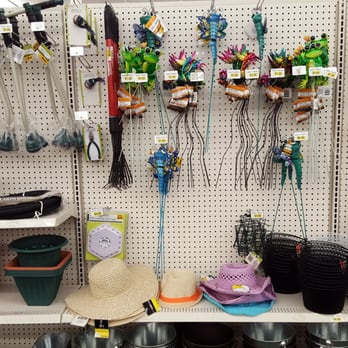 Dollar Tree - Discount Store Near Me - Tampa, Florida Dollar Tree - Discount Store Near Me - Tampa, Florida