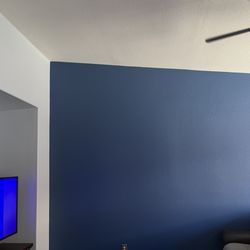Attention to Detail Painting - Accent wall