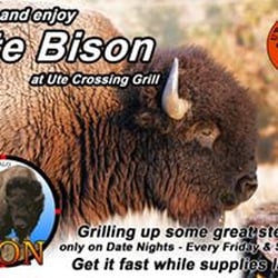 Ute Crossing Grill - Ute Premium Bison