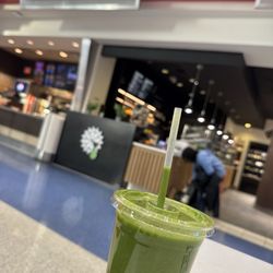 The Urban Juicer - Ginger green