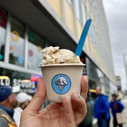 Wild Scoops - S'mores and salted caramel