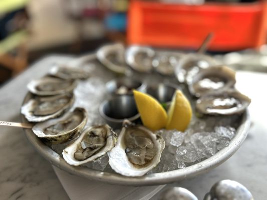 Clarke Cooke House by null