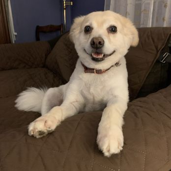 TLC For Pets - Veterinarians Near Me - Reisterstown, Maryland TLC For Pets - Veterinarians Near Me - Reisterstown, Maryland