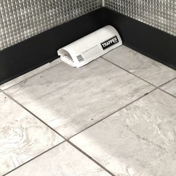 Planet Fitness - Rodent problems in a gym?? - Gyms Near Me - Ventura, California Planet Fitness - Rodent problems in a gym?? - Gyms Near Me - Ventura, California