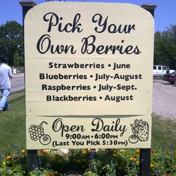 Pattys Berries and Bunches - Fruits & Veggies Near Me - Mattituck, New York Pattys Berries and Bunches - Fruits & Veggies Near Me - Mattituck, New York