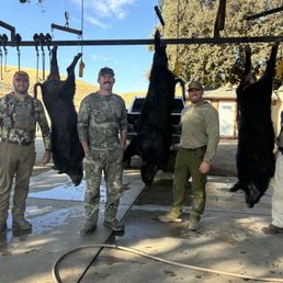 Three out of the four pigs we shot Three out of the four pigs we shot