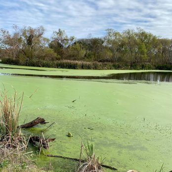 Brazos Bend State Park - Creek field Lake - Parks Near Me - Needville, Texas