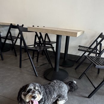 Bark Coffee - Dog enjoying the chill vibes - Coffee & Tea Near Me - Whittier, California Bark Coffee - Dog enjoying the chill vibes - Coffee & Tea Near Me - Whittier, California