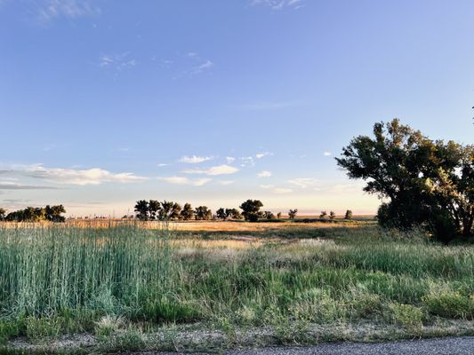 Rocky Mountain Arsenal National Wildlife Refuge by null