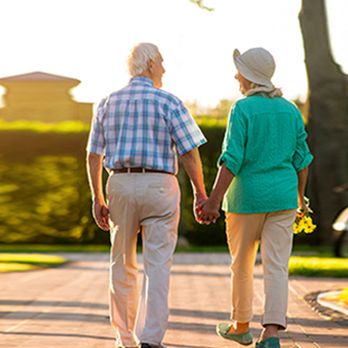 Sonnenberg Insurance Services - Medicare - Auto Insurance Near Me - Largo, Florida Sonnenberg Insurance Services - Medicare - Auto Insurance Near Me - Largo, Florida