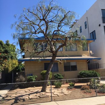 CG Tree And Landscape - Willow tree in Venice beach - Tree Services Near Me - Gardena, California