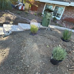 New plants installing