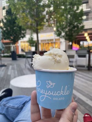 Honeysuckle Gelato Fenton by null