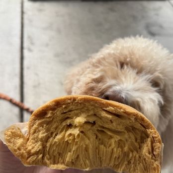 Yang Kee - So fluffy and only $5 - Dim Sum Near Me - Sacramento, California Yang Kee - So fluffy and only $5 - Dim Sum Near Me - Sacramento, California