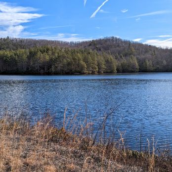 DuPont State Forest - Lake Julia | Instagram: @telephonesmoothie - Hiking Near Me - Cedar Mountain, North Carolina