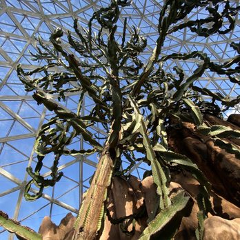 Mitchell Park Domes - Parks Near Me - Milwaukee, Wisconsin