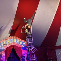 Venardos Circus - Circus performance ... balancing on chairs