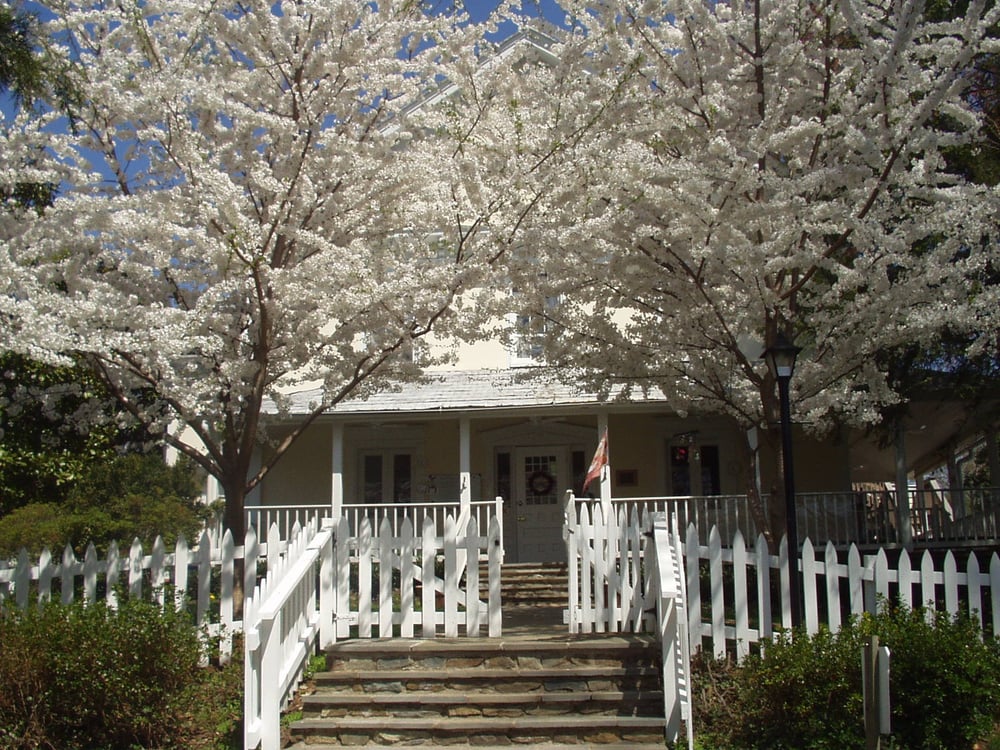 Country Day School - childcare center in Mc Lean, VA