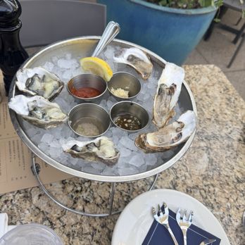 Buck & Rider - Oysters! Yum! The long shaped ones are the Malpeque and the others are Coromandel - Seafood Near Me - Phoenix, Arizona Buck & Rider - Oysters! Yum! The long shaped ones are the Malpeque and the others are Coromandel - Seafood Near Me - Phoenix, Arizona