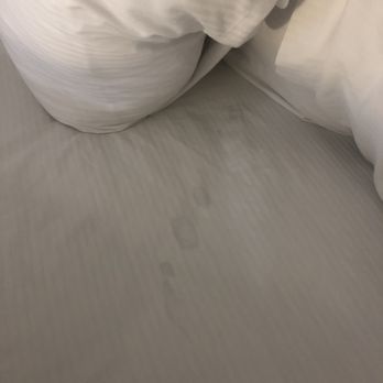 DoubleTree by Hilton Hotel Memphis - Stain in sheets - Hotels Near Me - Memphis, Tennessee DoubleTree by Hilton Hotel Memphis - Stain in sheets - Hotels Near Me - Memphis, Tennessee