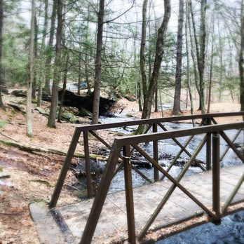 Mowry Conservation Area - Hiking Near Me - Smithfield, Rhode Island