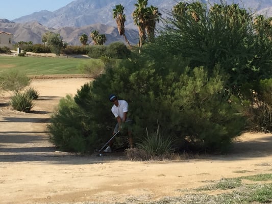 Escena Golf Club by null