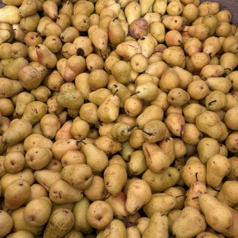BlueRock Farm Market - Pears - Farmers Market Near Me - Twin Falls, Idaho BlueRock Farm Market - Pears - Farmers Market Near Me - Twin Falls, Idaho