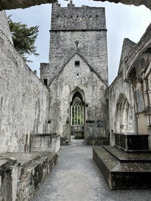 Killarney National Park by null