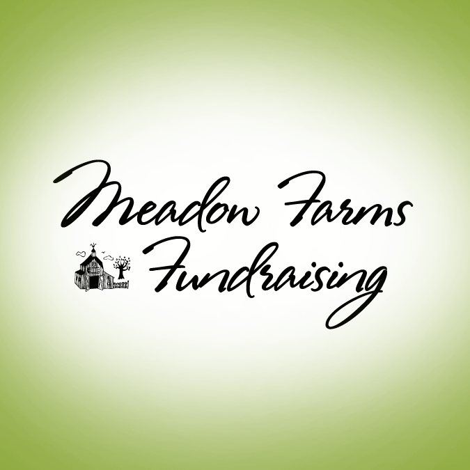 MEADOW FARMS FUNDRAISING Updated January 2025 700 Silver St, Agawam