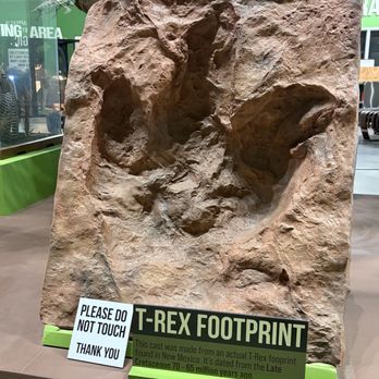 Indiana Dinosaur Museum - T-Rex Footprint - Children's Museums Near Me - South Bend, Indiana Indiana Dinosaur Museum - T-Rex Footprint - Children's Museums Near Me - South Bend, Indiana