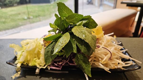 Vietnoms Thornhill by null