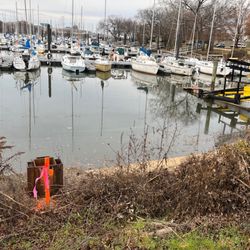 Washington Sailing Marina