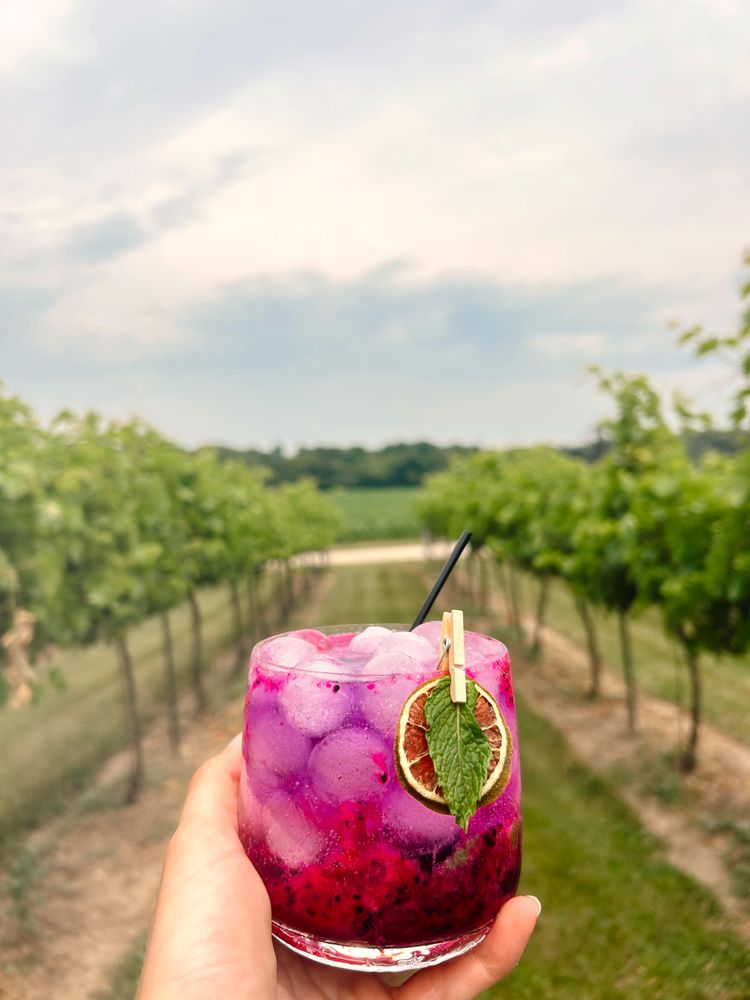 Staller Estate Winery - vineyard in Delavan, WI