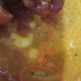 Maggots in rice?  BEWARE