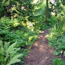 Botanischer Garten