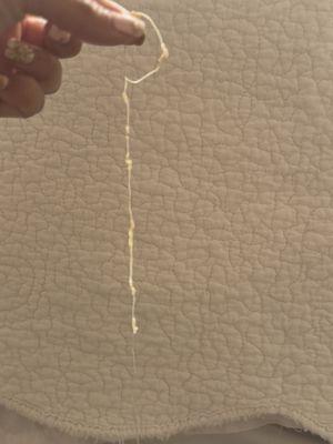 Cajun Craven by null