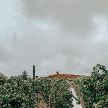 Peltzer Pumpkin Farm - Pumpkin Patches Near Me - Temecula, California